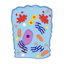 Modelo da célula animal magnética