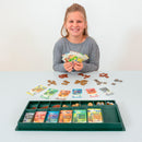 Conjunto de 65 notas e 110 moedas com organizador