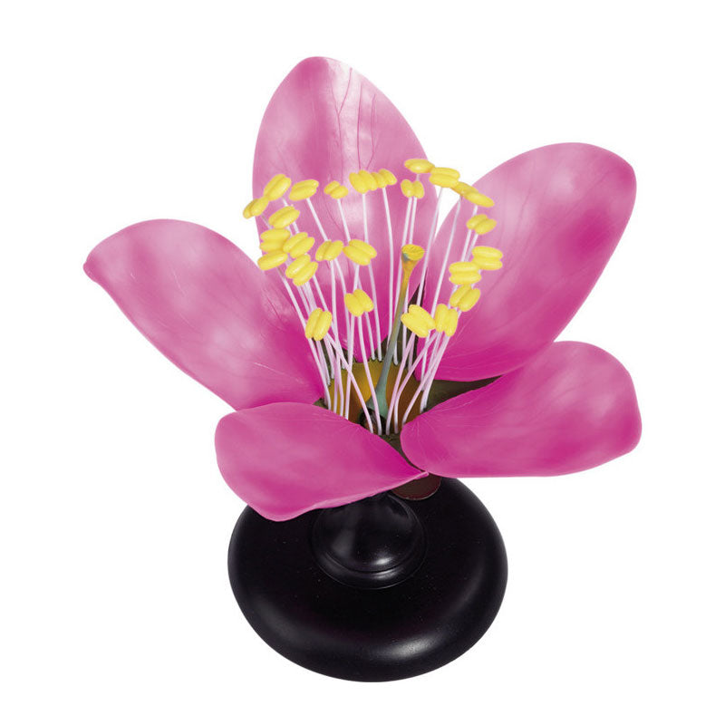 Modelo de flor de durazno