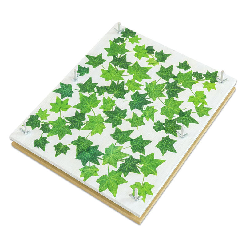 Prensa para plantas (32x26cm) - Sílaba