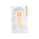 Puzzle desenvolvimento da rapariga em madeira